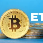 As the crypto community eagerly awaits the approval of a spot Bitcoin exchange-traded fund (ETF) in the United States, a recent survey by ETF issuer Bitwise reveals a divide among financial experts regarding the timing of this long-anticipated milestone.